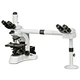 Multi-Head Microscope